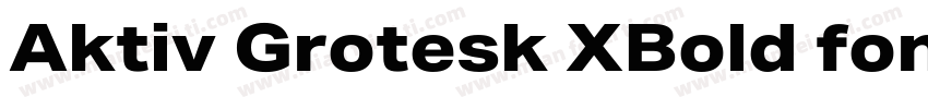 Aktiv Grotesk XBold font字体转换